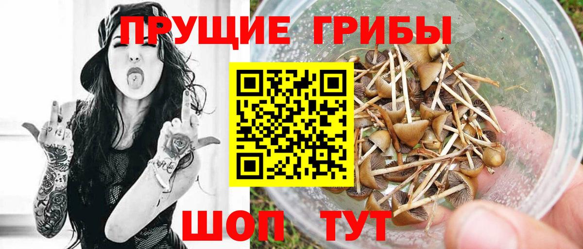 A PVP Коммунар